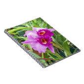 Lila Cattleya Orchids Notizblock (Rechte Seite)