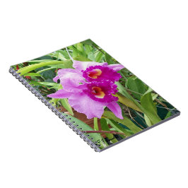 Lila Cattleya Orchids Notizblock