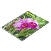 Lila Cattleya Orchids Notizblock (Linke Seite)