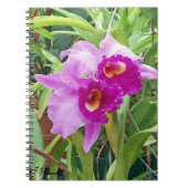 Lila Cattleya Orchids Notizblock (Vorderseite)