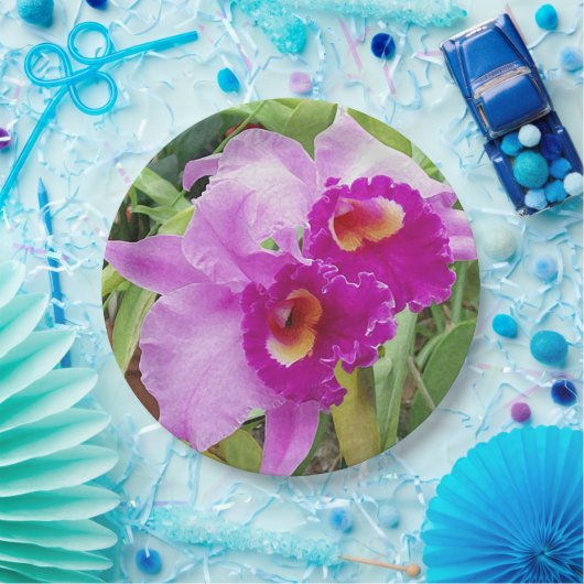 Lila Cattleya Orchids Pappteller (Party)