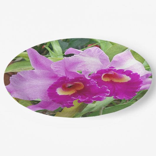 Lila Cattleya Orchids Pappteller (Schrägansicht)