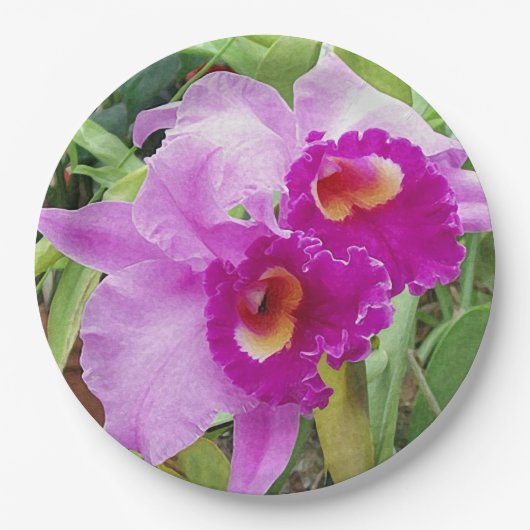 Lila Cattleya Orchids Pappteller (Vorderseite)