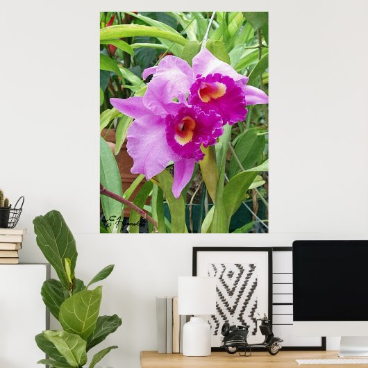 Lila Cattleya Orchids Poster (Heimbüro)
