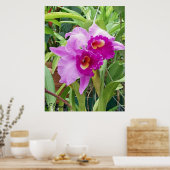 Lila Cattleya Orchids Poster (Küche)
