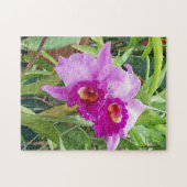 Lila Cattleya Orchids Puzzle (Horizontal)