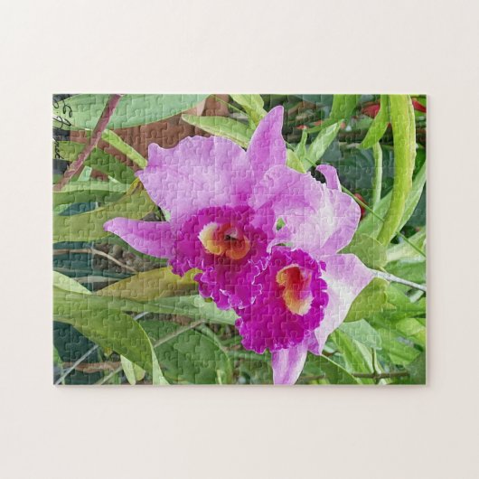 Lila Cattleya Orchids Puzzle (Horizontal)