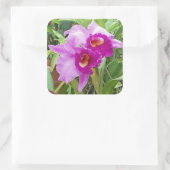 Lila Cattleya Orchids Sticker (Tasche)