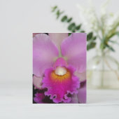 Lila Cattleya Postkarte (Stehend Vorderseite)