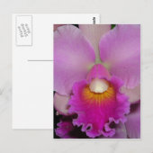 Lila Cattleya Postkarte (Vorne/Hinten)