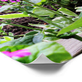 Lila chinesischer Hund in rosa Blume Poster (Ecke)