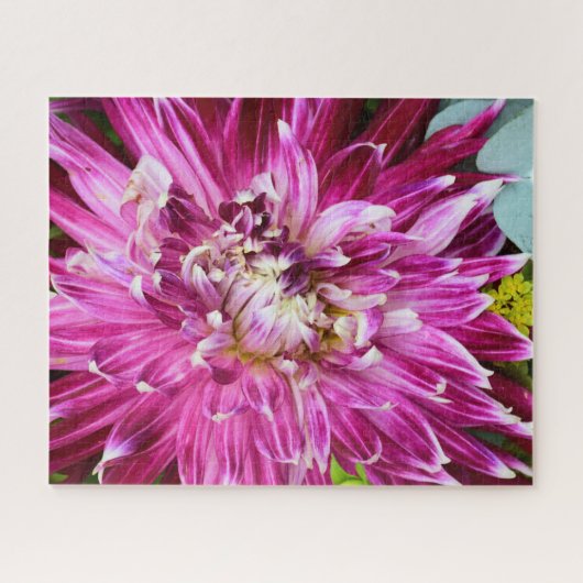 Lila Chrysanthemum - Blume 16x20 Puzzle (Horizontal)