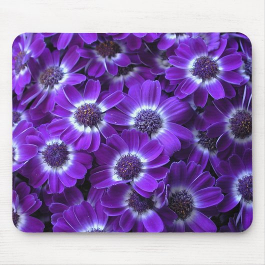 Lila Cineraria Mousepad (Vorne)