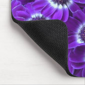 Lila Cinerarias Mousepad (Ecke)