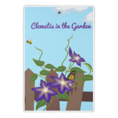 Lila Clematin Im Garten Mini Klemmbrett (Rückseite)
