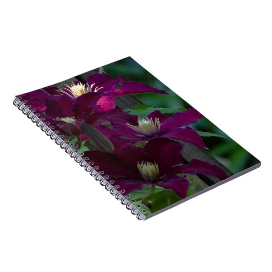 Lila Clematin-Notebook Notizblock (Rechte Seite)