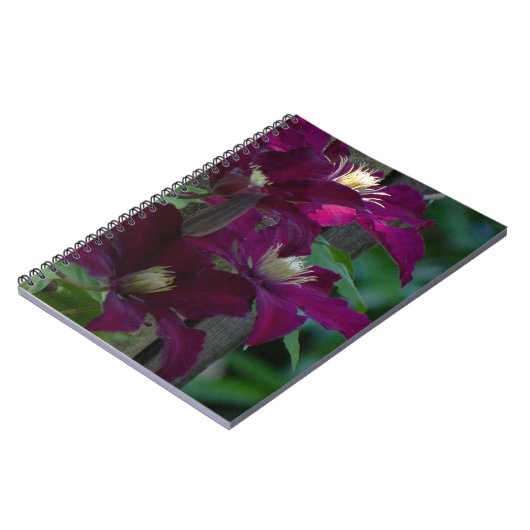 Lila Clematin-Notebook Notizblock (Linke Seite)