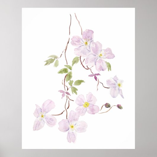 lila Clematis Aquarell Poster (Vorne)