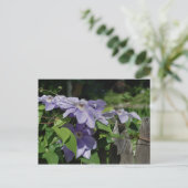Lila Clematis auf Zaun-Blume Postkarte (Stehend Vorderseite)