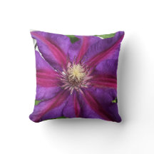 Lila Clematis Blossom