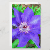 Lila Clematis-Blume Briefpapier (Vorne/Hinten)