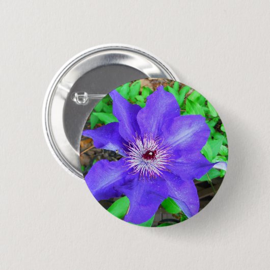 Lila Clematis-Blume Button (Vorne & Hinten)