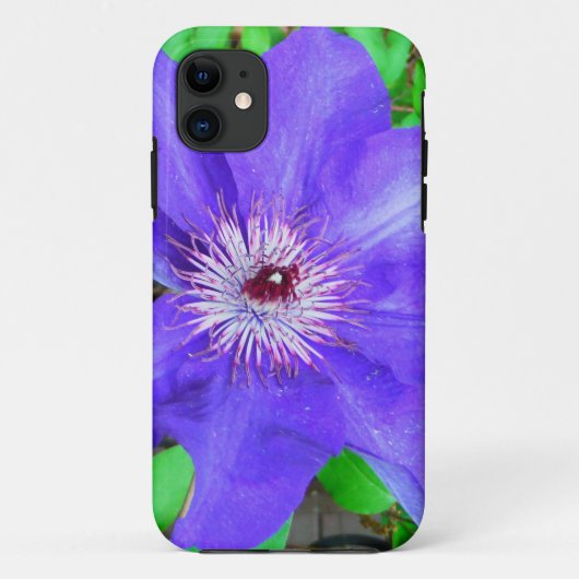 Lila Clematis-Blume Case-Mate iPhone Hülle (Rückseite)