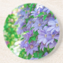 Lila Clematis-Blume