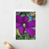 Lila Clematis-Blume Mitteilungskarte (Vorderseite/Rückseite Beispiel)