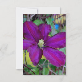 Lila Clematis-Blume Mitteilungskarte