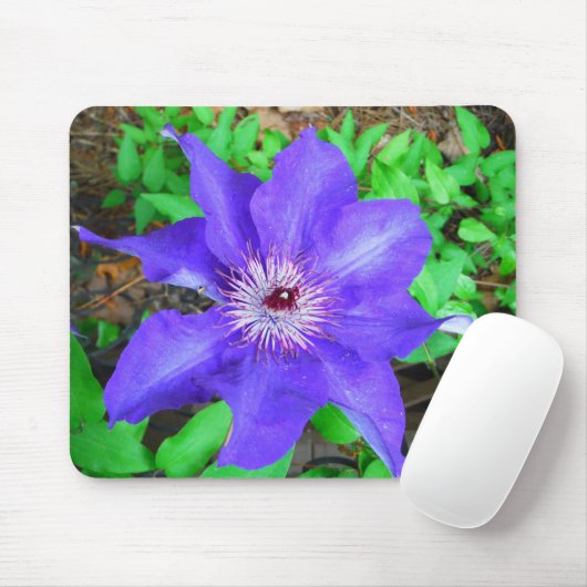 Lila Clematis-Blume Mousepad (Mit Mouse)