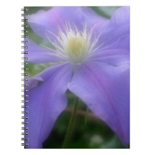 Lila Clematis Blume Natur Notizblock