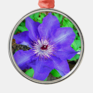 Lila Clematis-Blume Ornament Aus Metall