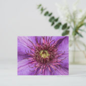 Lila Clematis-Blume Postkarte (Stehend Vorderseite)