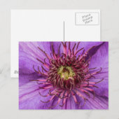 Lila Clematis-Blume Postkarte (Vorne/Hinten)