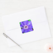 Lila Clematis-Blume Quadratischer Aufkleber (Umschlag)