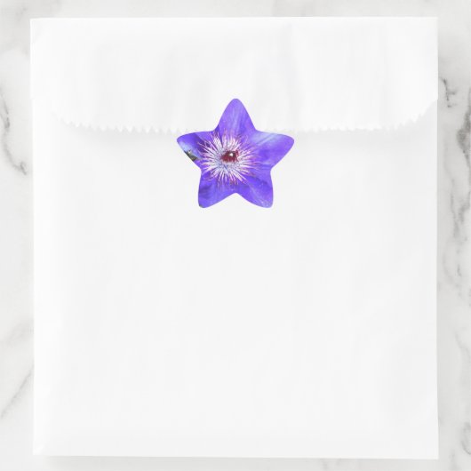 Lila Clematis-Blume Stern-Aufkleber (Tasche)