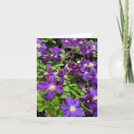 Lila Clematis Blume und Blätter Fotografie Karte