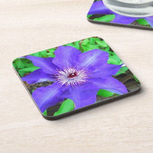 Lila Clematis-Blume Untersetzer (Linke Seite)