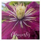Lila Clematis-Blüte Floral Fliese (Vorderseite)