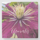 Lila Clematis-Blüte Floral Steinuntersetzer (Vorderseite)