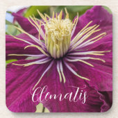 Lila Clematis-Blüten Blumen Getränkeuntersetzer (Vorderseite)