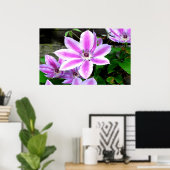 Lila Clematis Fotografierplakat/ Drucken Poster (Heimbüro)