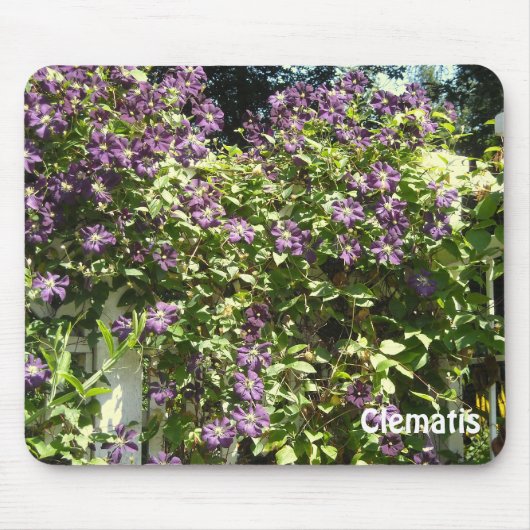 Lila Clematis Garden Mousepad (Vorne)