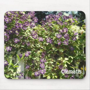 Lila Clematis-Garten Mousepad