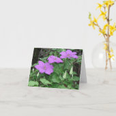 lila Clematis Karte (Gelbe Blume)