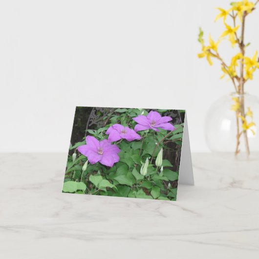 lila Clematis Karte (Gelbe Blume)