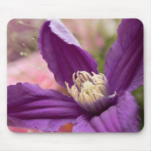 "Lila Clematis Macro - Elegante Blumenmousepad" Mousepad (Vorne)
