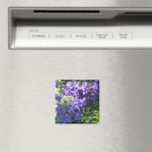 Lila Clematis Magnet (In Situ (Geschirrspüler))