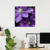 Lila Clematis Poster (Heimbüro)